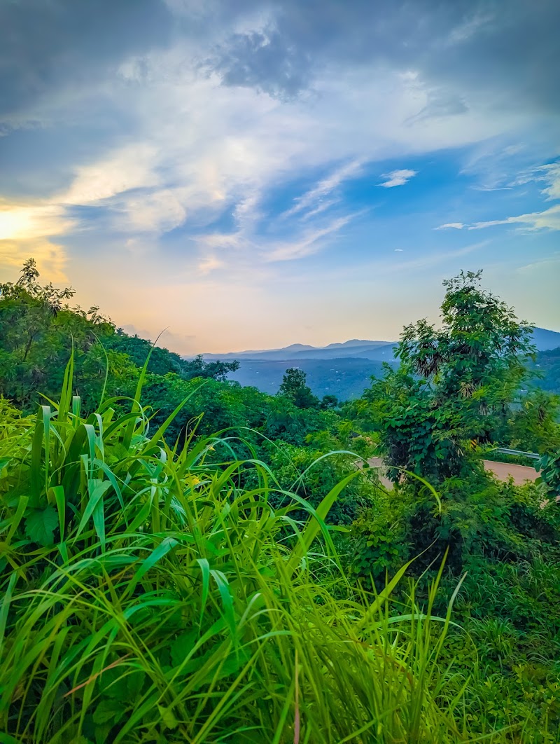 Cheruppadimala view point