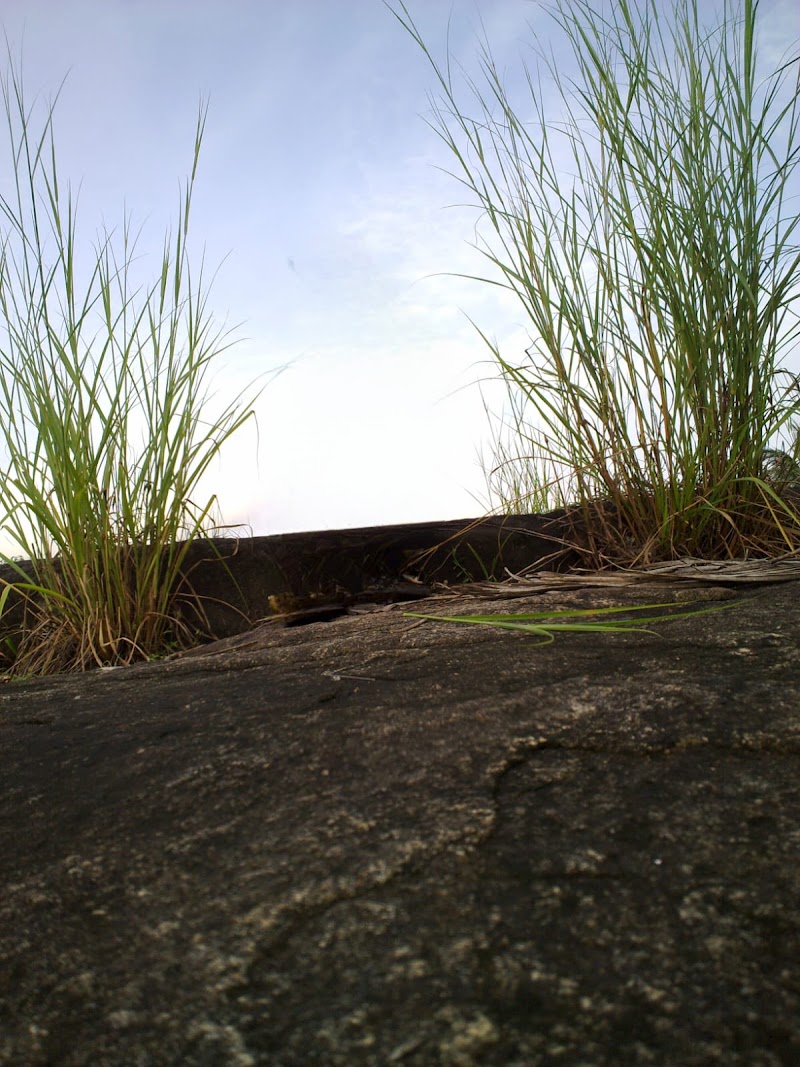 Cheruppadimala view point