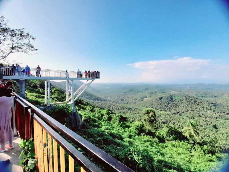 Glass Bridge Mini Ooty Misty Land Natural Park