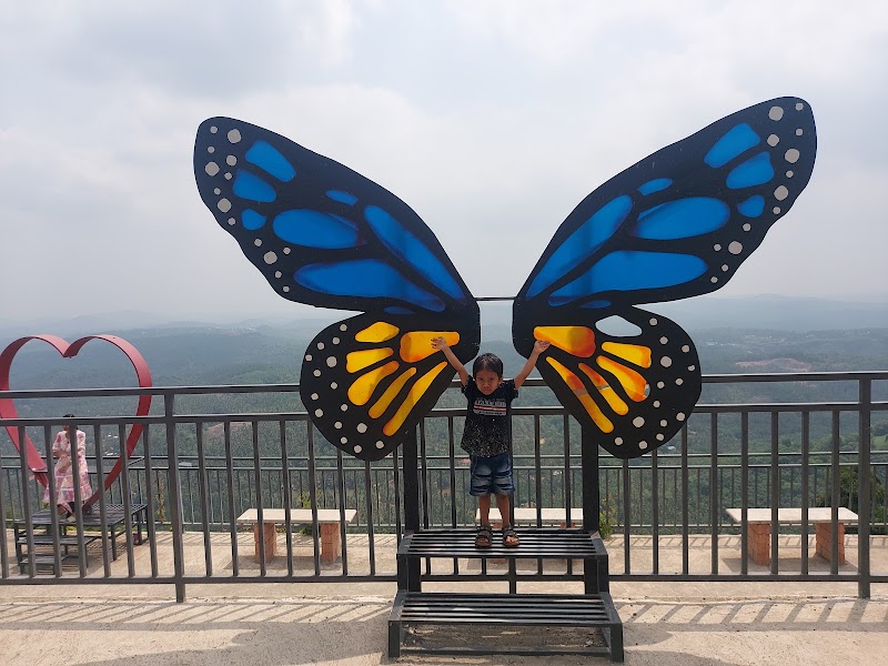 Glass Bridge Mini Ooty Misty Land Natural Park