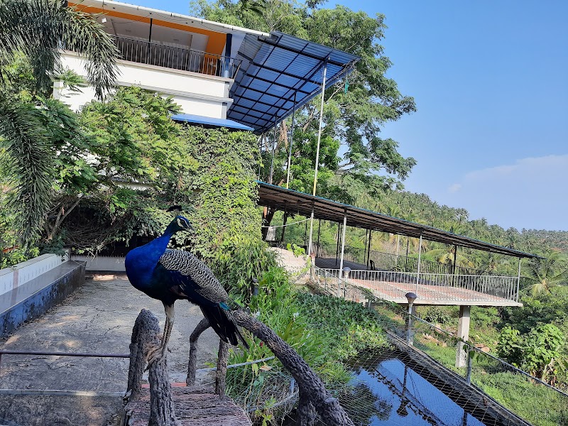 Mini Ooty Hill Garden Resort