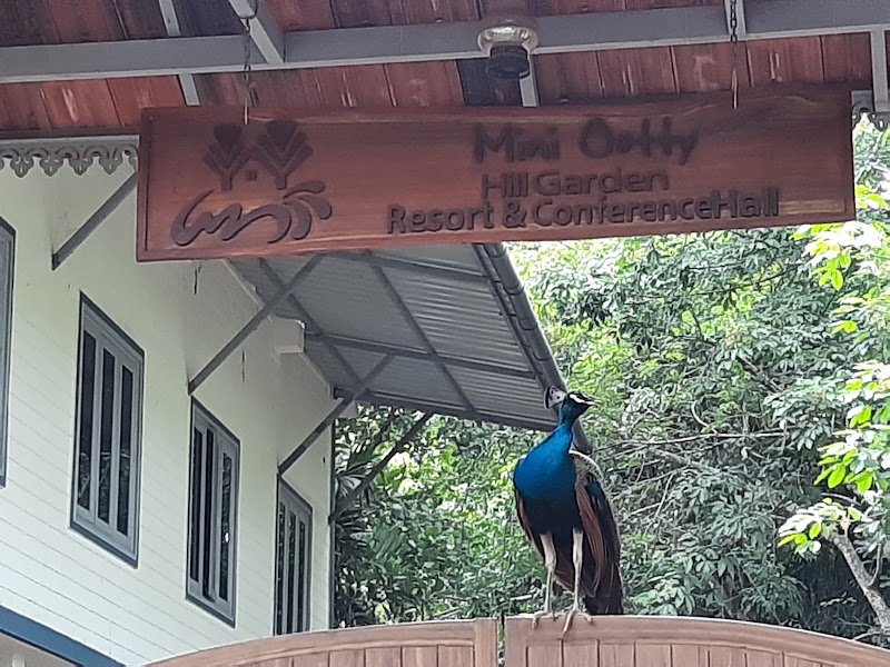 Mini Ooty Hill Garden Resort
