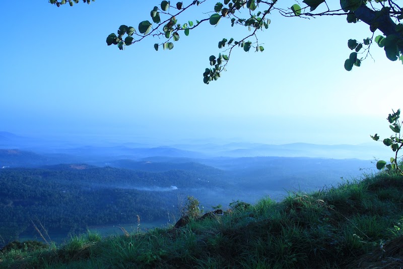 Misty Green Hills Parks & Resorts