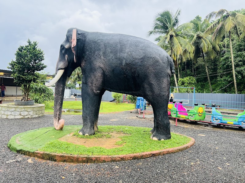 Petspark miniooty