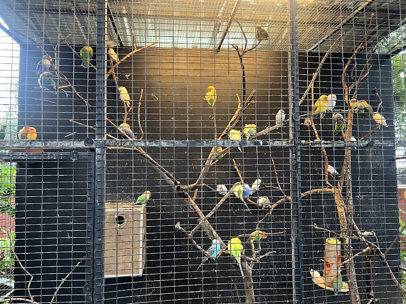Petspark miniooty
