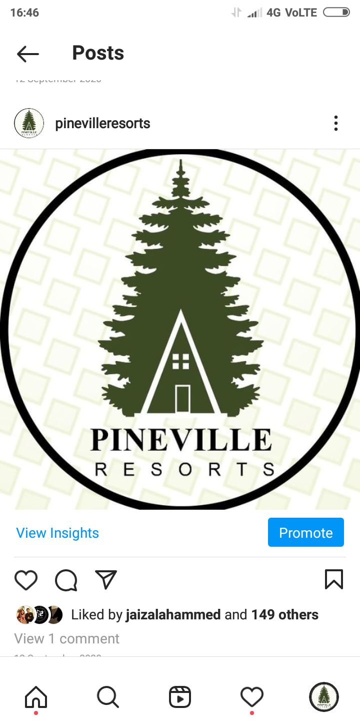 Pineville Resort