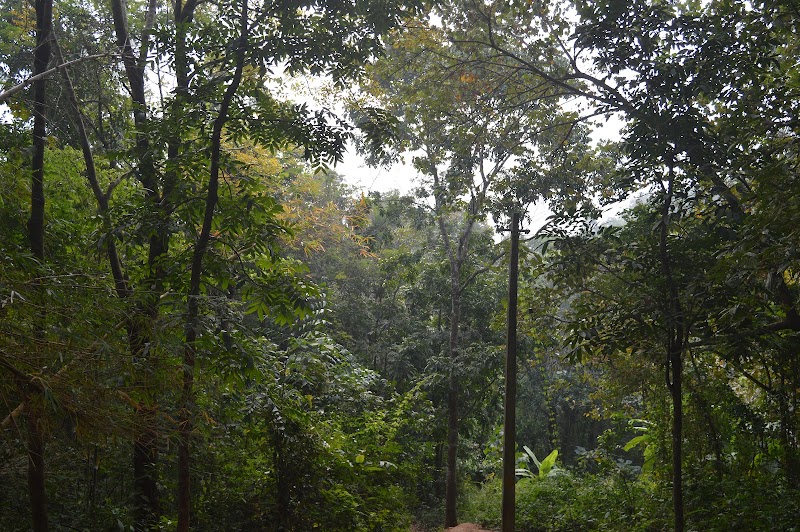 Thiruvona Mala Trekking Point